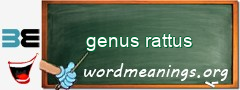 WordMeaning blackboard for genus rattus